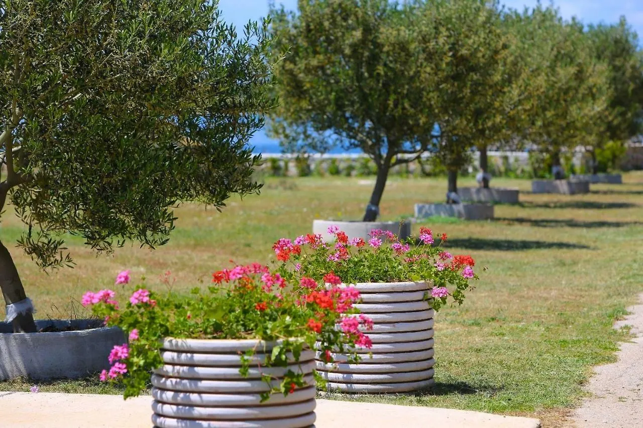 Apartments Fjaka Sveti Filip i Jakov Croatia