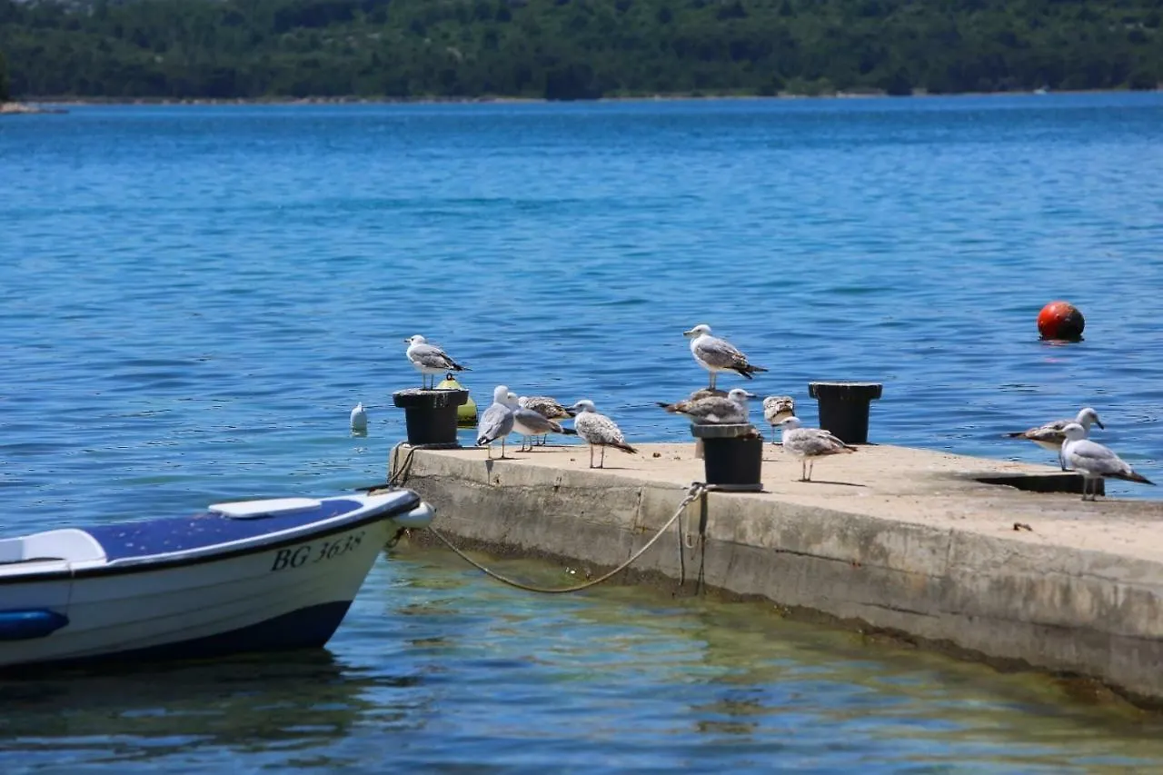 Apartments Fjaka Sveti Filip i Jakov 0*,  Croatia
